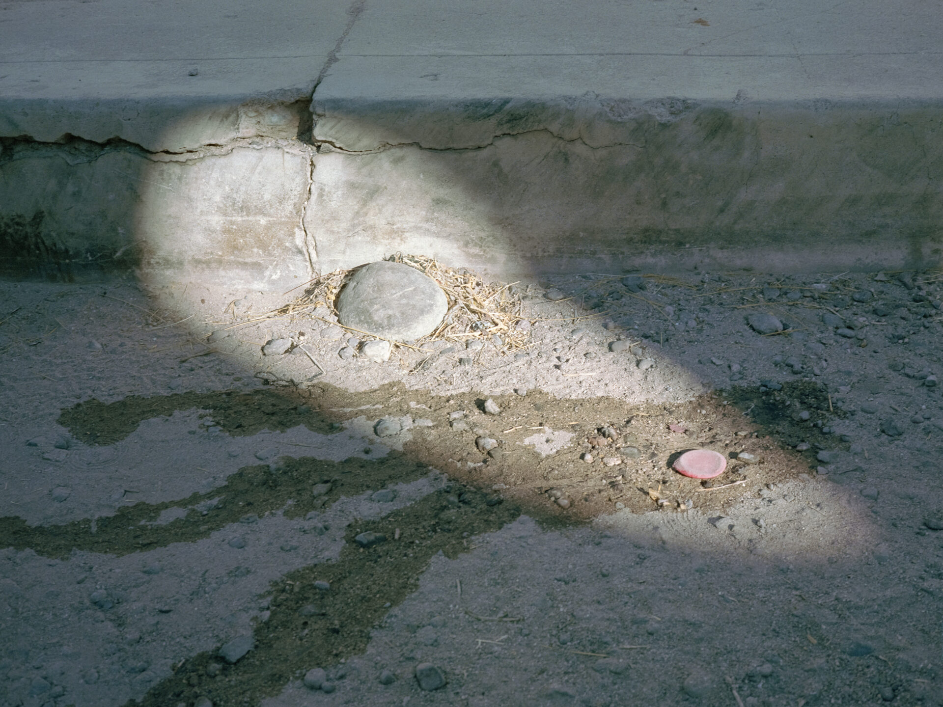 Untitled (Border 2)