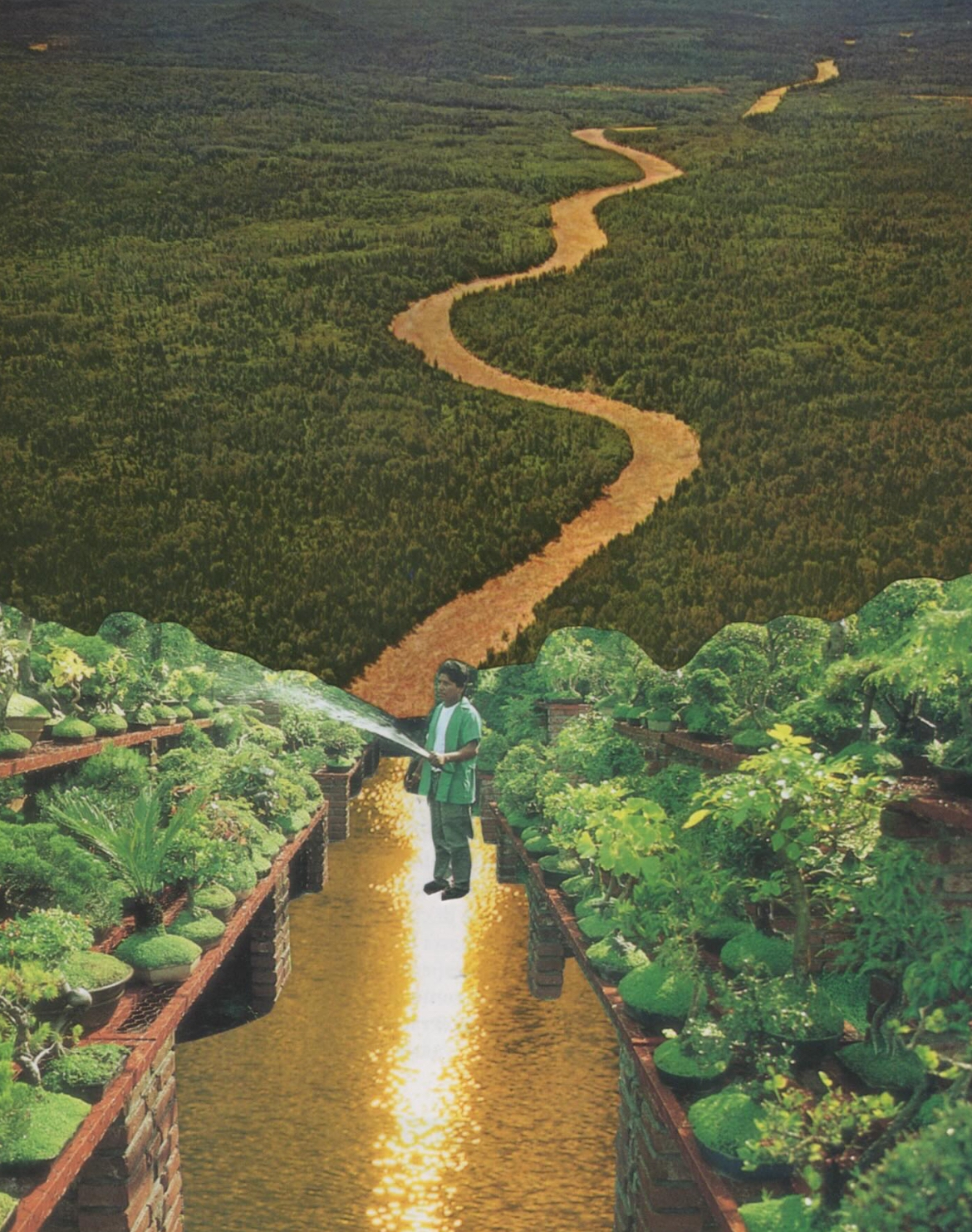 Let Your Light Be Shared, 2024