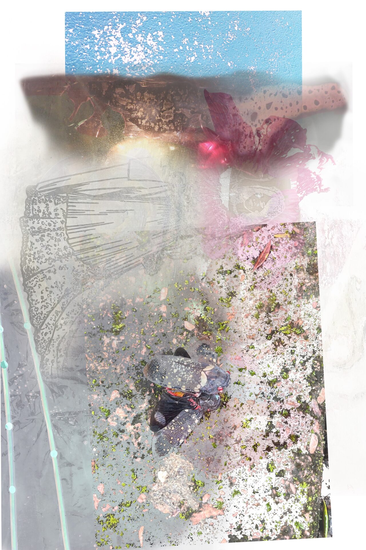 A Philosophy Called Question, 2025